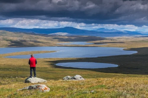 Перекресток миров. Джип-тур на плоскогорье Укок. Плоскогорье Укок. Фото: Павел Филатов