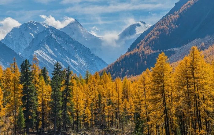 Гора Белуха. Треккинг