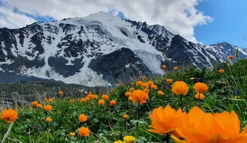 Гора Белуха. Треккинг