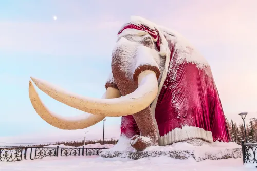 Ямал / Чудеса Арктического Дубая. Мамонт Митя Фото: Павел Филатов