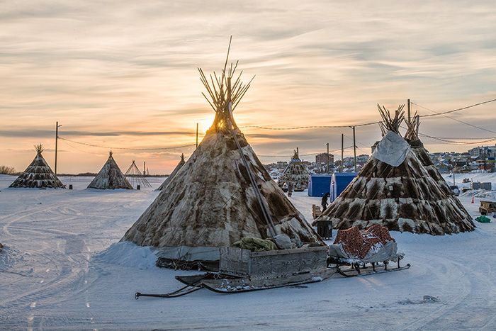 Программа «День оленевода»