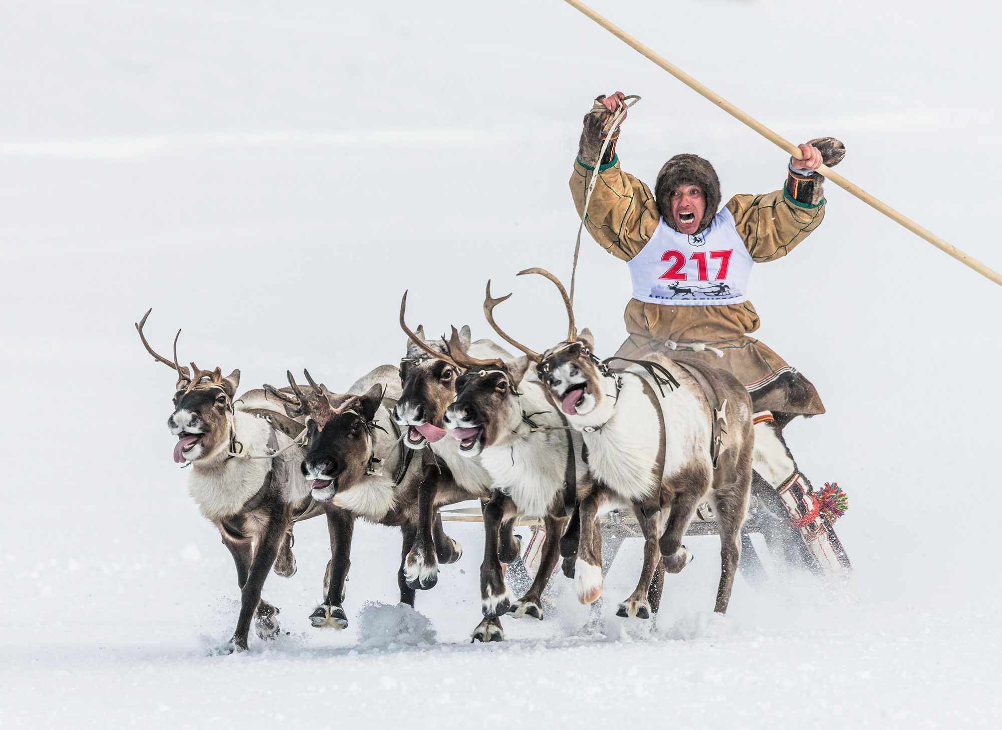 Программа «День оленевода»