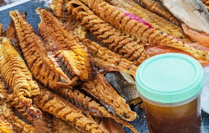 Программа «День оленевода»