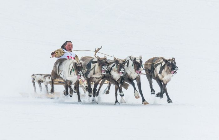 Программа «День оленевода»