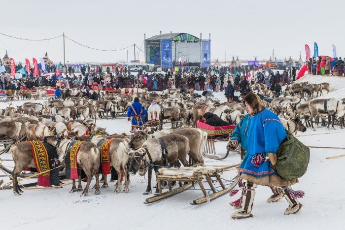 Программа «День оленевода»