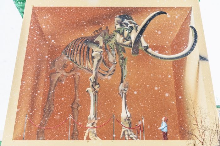 Программа «День оленевода»